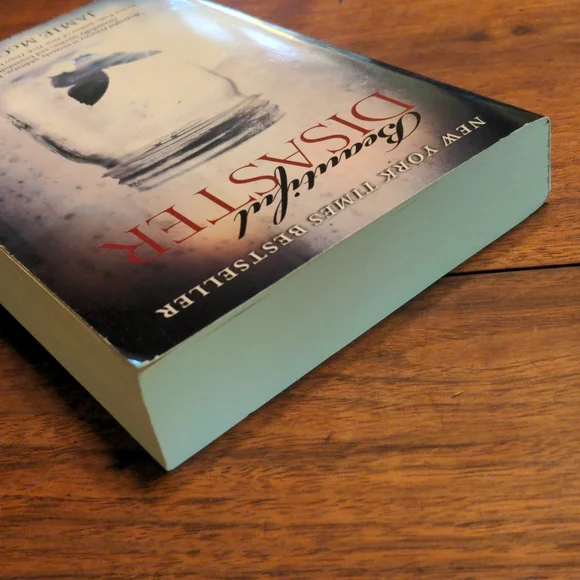 Beautiful Disaster Book - Picture 6 of 8